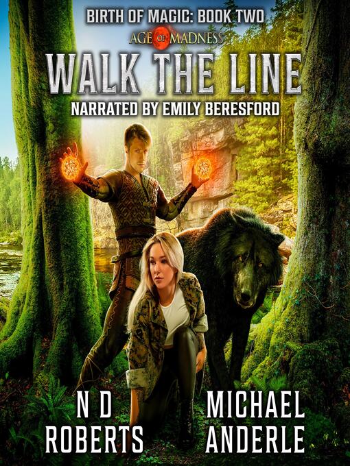 Title details for Walk the Line by N.D. Roberts - Available